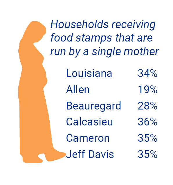 households receiving food stamps that are run by a single mother