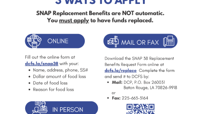 DCFS SNAP food replacement guide